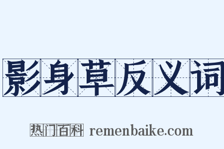 影身草反义词是什么意思的图片